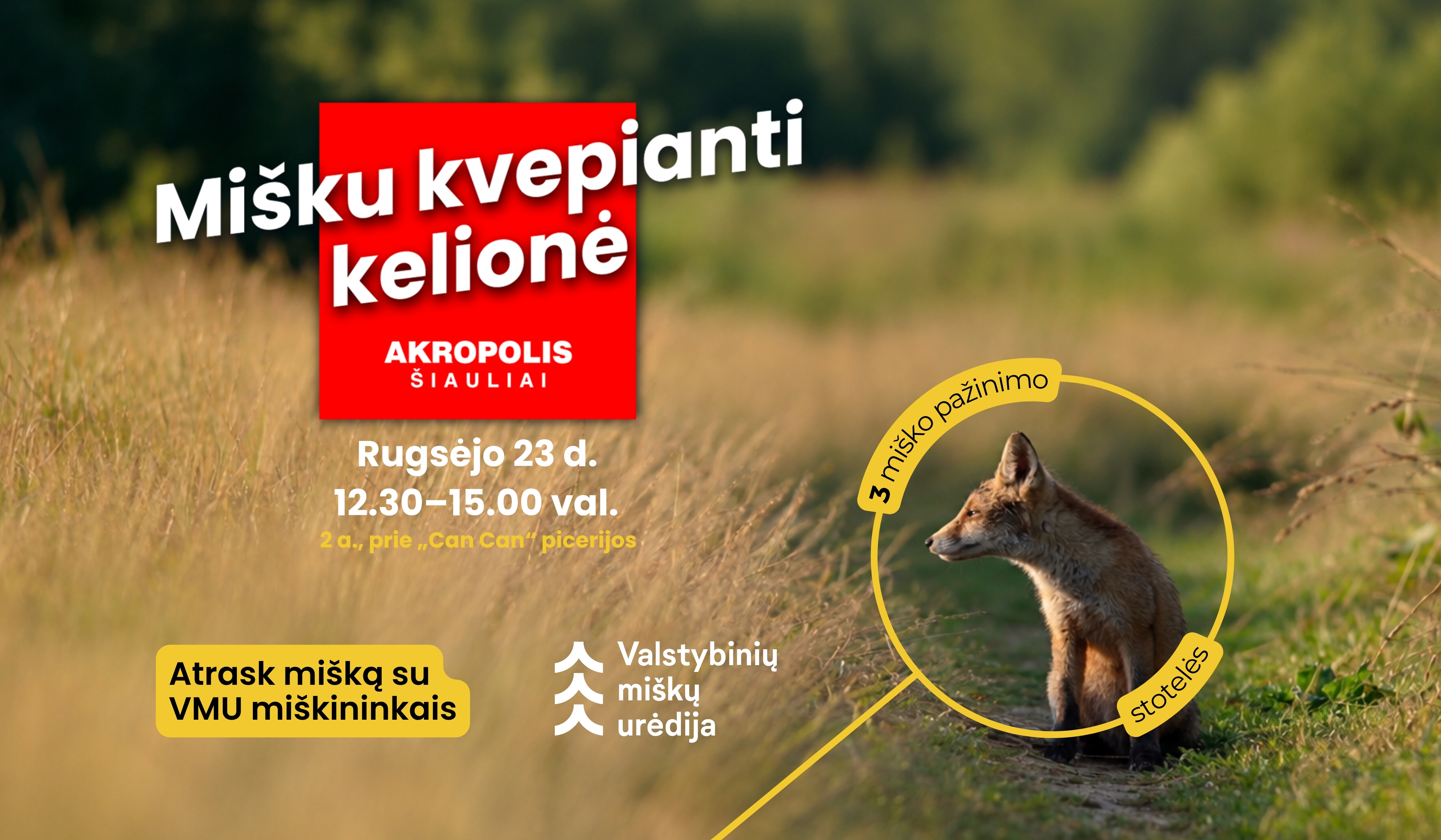 MIŠKU KVEPIANTI KELIONĖ 🌲