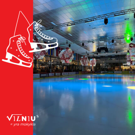 Ugdymo pamokos ant ledo!