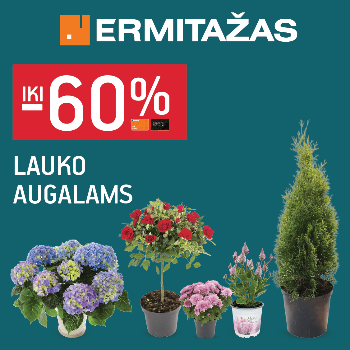 ERMITAŽAS. Iki -60% lauko augalams