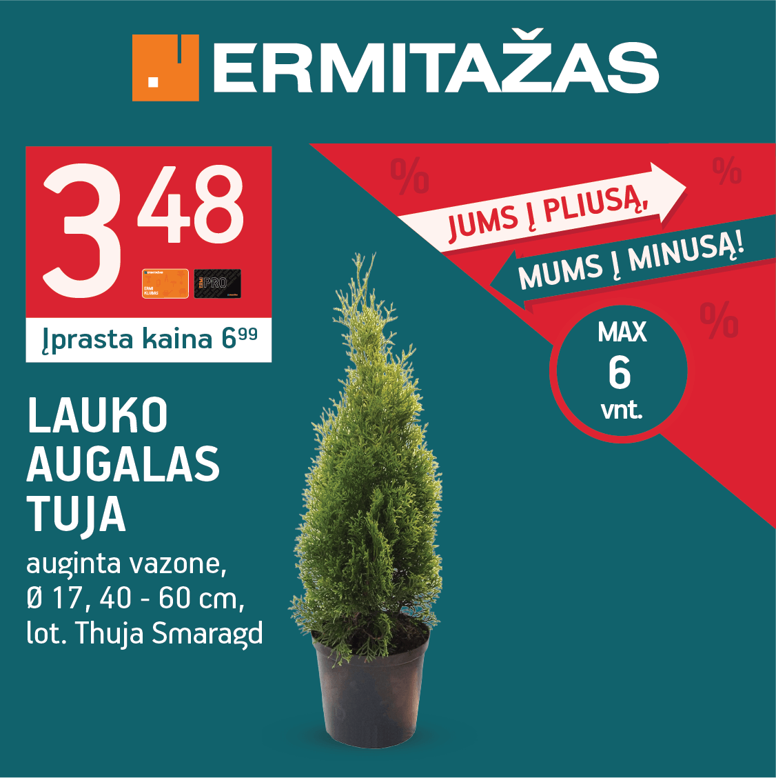 ERMITAŽAS. Tuja jūsų kiemui už gerą kainą!