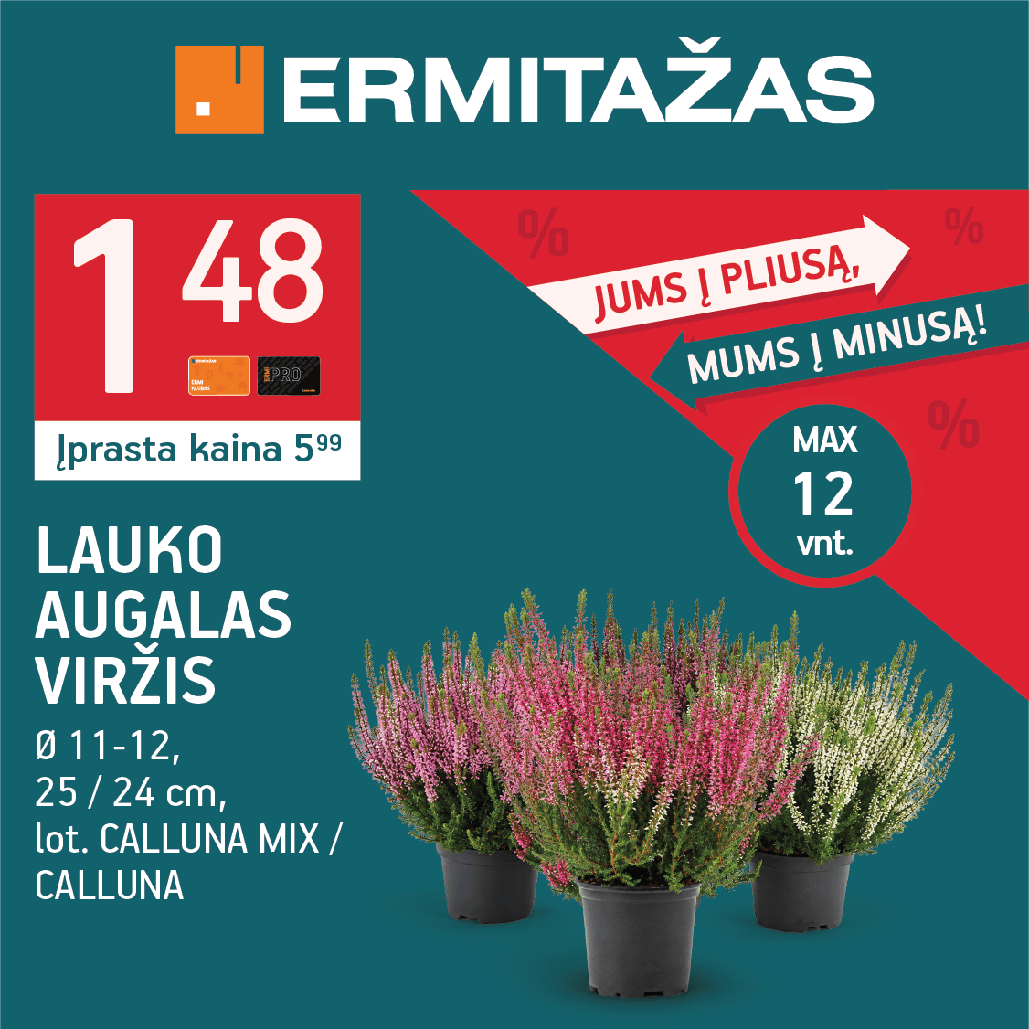 ERMITAŽAS. Viržis jūsų kiemui už gerą kainą!